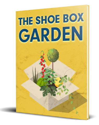 Show Box Garden